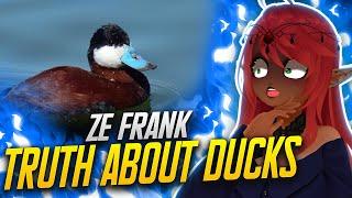 WEIRDEST VIDEO… | True Facts About The Duck Reaction