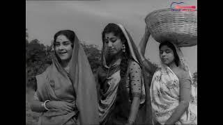 Rare Song - Supwe Nariarwe | सुपवे नरियरवे | Vijaya Chaudhary, Tarun Bose | Bhaiya 1961 Film