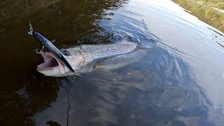 Taimen are caught here. Fishing from morning to evening.