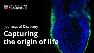 Journeys of Discovery: Capturing the origin of life