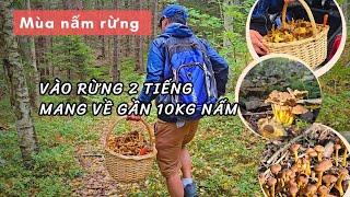 Bội thu gần 10kg Nấm không còn chổ đựng đành phải ra về