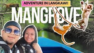 Most EXCITING Things to Do in LANGKAWI Malaysia! MANGROVE TOUR BAT CAVE Kilim Geoforest Trip Vlog