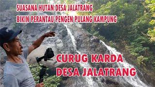 Seharian di Hutan Desa Yang Indah, Plog Pengenalan Suasana Alam di Hutan Desa Jalatrang Kec. Cilebak