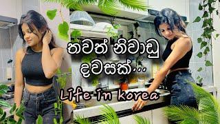 කොරියාවේ මගේ නිවාඩු දවස   Cleaning Day   Life in Korea