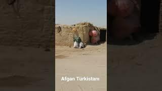 Afganistan Vilage Life | Afgan Türkistanı |#village_life_afghanistan |#afghanistan