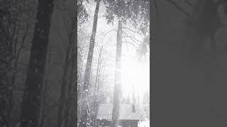 B&W Music Playlist | Lo-Fi Music | Lo-Fi Score | 15 seconds | Beautiful Vibe!! | Cinematography