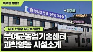 부여군농업기술센터 과학영농 시설소개(토양검정, 미생물, 잔류농약분석 방법)