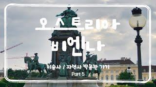 오스트리아 : 비엔나 미술사 박물관 안의 카페? / Vienna Take5