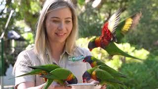 We are OPEN | Currumbin Wildlife Sanctuary