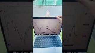 This is why I became a Day Trader 