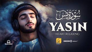 Quran for Deep Sleep & Healing | Pain Relief, Study Focus, Anxiety & Depression Aid | Tadhkirah Tv