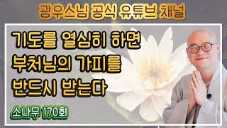 기도를 열심히 하면 부처님의 가피를 반드시 받는다 | 광우스님의 법공양 170회