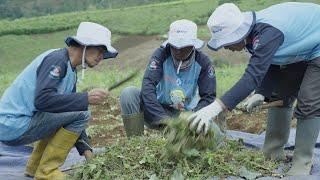 PUPUK KALTIM BIODEX | Jasa Video eps-production