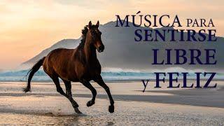 Musica Instrumental para Una Mente Libre y Feliz ¡FEEL FREE! ..fab choice...