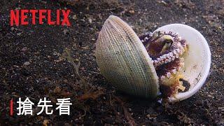 《我們的海洋》 | 機智八爪魚向魚兒噴射 | 搶先看 | Netflix