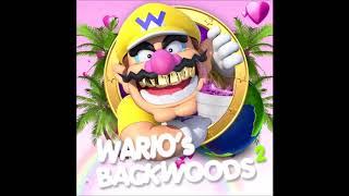 Wario's Backwoods 2 