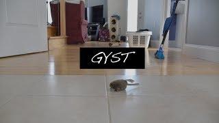 GYST Day // Productive Cleaning & Tidying