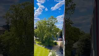 #nature