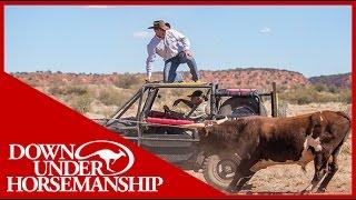 Clinton Anderson - Outback Adventure 4 of 14