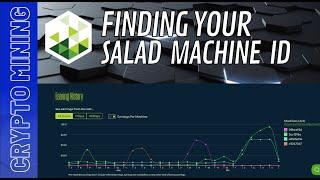 Salad AI Workloads - Finding your Machine ID's