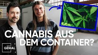 Cannabis anbauen auf 16 Quadratmetern | Einfach Genial