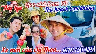 Qua nhà Leon Vũ thu hoạch Lựu khủng.. Xe mới của chị Thoa.. hơn cái nhà..