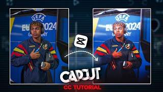 Capcut CC tutorial like Ae...!!