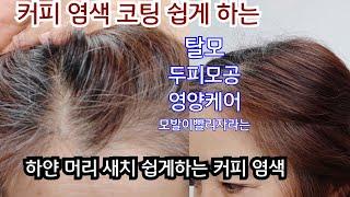 쉽게하는 커피 염색 /흰머리가 이렇게 염색되요/탈모 두피강화 모공속 영양케어/가성비를 따진다면 갑 입니다