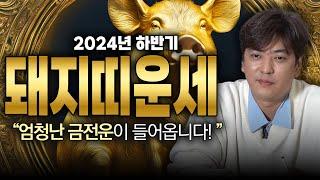 2024년 마지막 돼지띠운세 엄청난 '금전운' 이 들어온다! 돼지띠운세/ 59년생 71년생 83년생 95년생 돼지띠운세