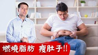 快速瘦肚子,燃燒腹部脂肪,瘦肚子3方法!!柏格醫生dr berg