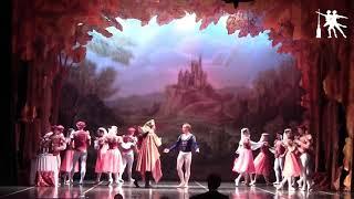 A. Ploom A. Lomachenkova Ballet Theater. "Swan Lake".