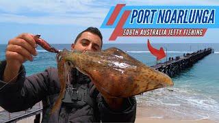 FISHING Port Noarlunga For MASSIVE SQUID in South Australia