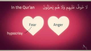 Tranquility in Qur'an   Quran Miracle  HD   Kinetic Typography