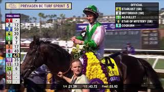 Starlust (GB) wins the Prevagen Breeders' Cup Turf Sprint G.I race 5 at Del Mar 11/2/24