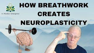 How Breathwork Creates Neuroplasticity