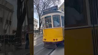 Yellow Trams in Lisbon  #lisboa #trams