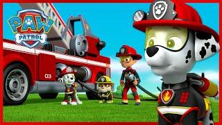 Ultimate Marshall's Best Saves and Rescue Moments! - PAW Patrol - Cartoons for Kids