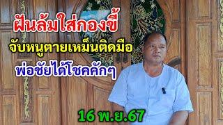 ฝันล้มใส่กองขี้ จับหนูตายเหม็นติดมือ พ่อชัยได้โชคคักๆ 16 พ.ย.67