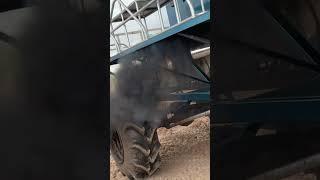 Bad a$$ diesel buggy at Plant Bamboo for Muddy Valentines!!! #Floridiots™️ #plantbamboo