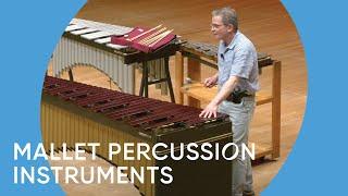 Guide to the Orchestra: Mallet Percussion Instruments | Minnesota Orchestra