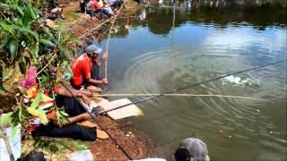 Pesca em Borrazopolis (HD)