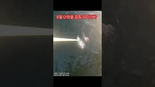 더블피싱 참돔 타이라바  #더블피싱 #참돔타이라바 #통영타이라바