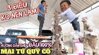 Cao thủ Út Đực hướng dẫn ghép SBBL vào gốc tứ quý cổ khủng và 3 điều lưu ý quan trọng để đậu bo 100%