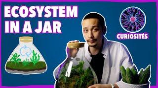 Building a Self-sustaining Microecosystem - Curiosités #2