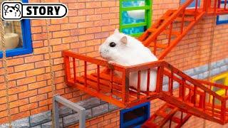 Hamster Robber escapes from Prison Maze - Shorts  Homura Ham