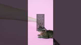 Whisker Wonders The Amazing Heart of CatsAs cat lovers were fascinated by our feline...