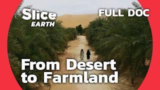 United Arab Emirates: Quenching the Thirst of Liwa | SLICE EARTH | FULL DOC