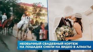 Необычный свадебный кортеж на лошадях сняли на видео в Алматы