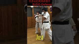 English version BUDO-Defense!#kyokushin #KENSEIKAN#KARATE#blackbelt#martialarts