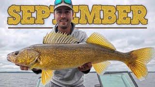 5 BEST September Walleye Tips (Late Summer to Early Fall Transition)